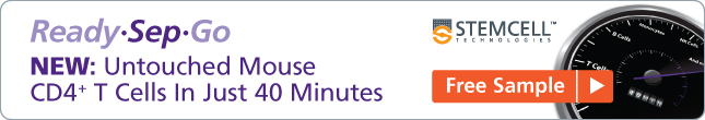 Free Sample: Untouched Mouse CD4 T Cells In Just 40 Minutes (NEW!)